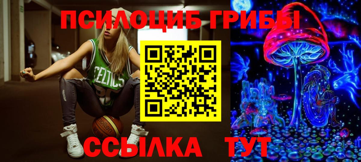 Железноводск  Галлюциногенные грибы Cubensis  Вход с VPN 